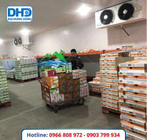 Lắp Đặt, Sửa Chữa Kho Lạnh Tại Nhơn Rạch